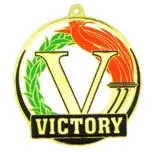 Color Shine Medal