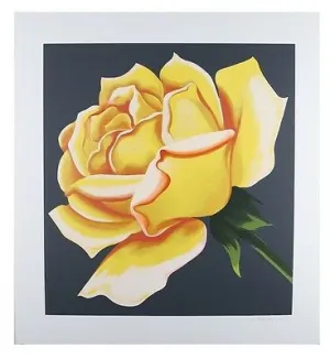 "Yellow Rose" by Lowell Blair Nesbitt Signed Serigraph AP 28" x 29" w/ CoA