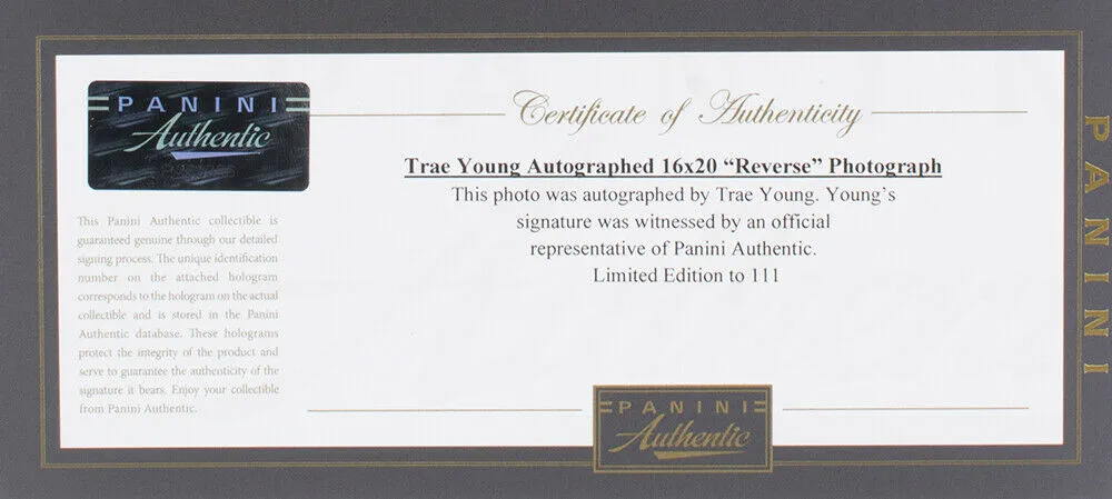 Trae Young Signed Framed 16x20 Atlanta Hawks Basketball Reverse Photo LE Panini