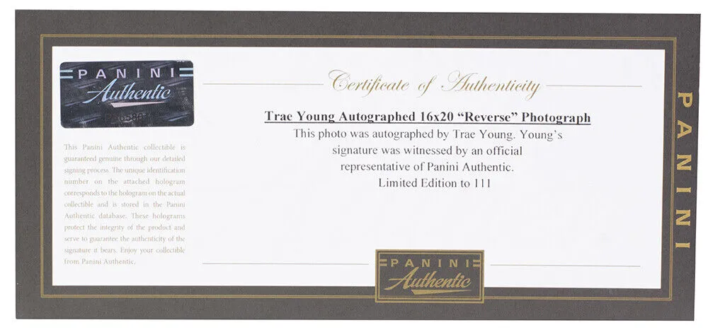 Trae Young Signed Framed Atlanta Hawks 16x20 Basketball Reverse Photo Panini